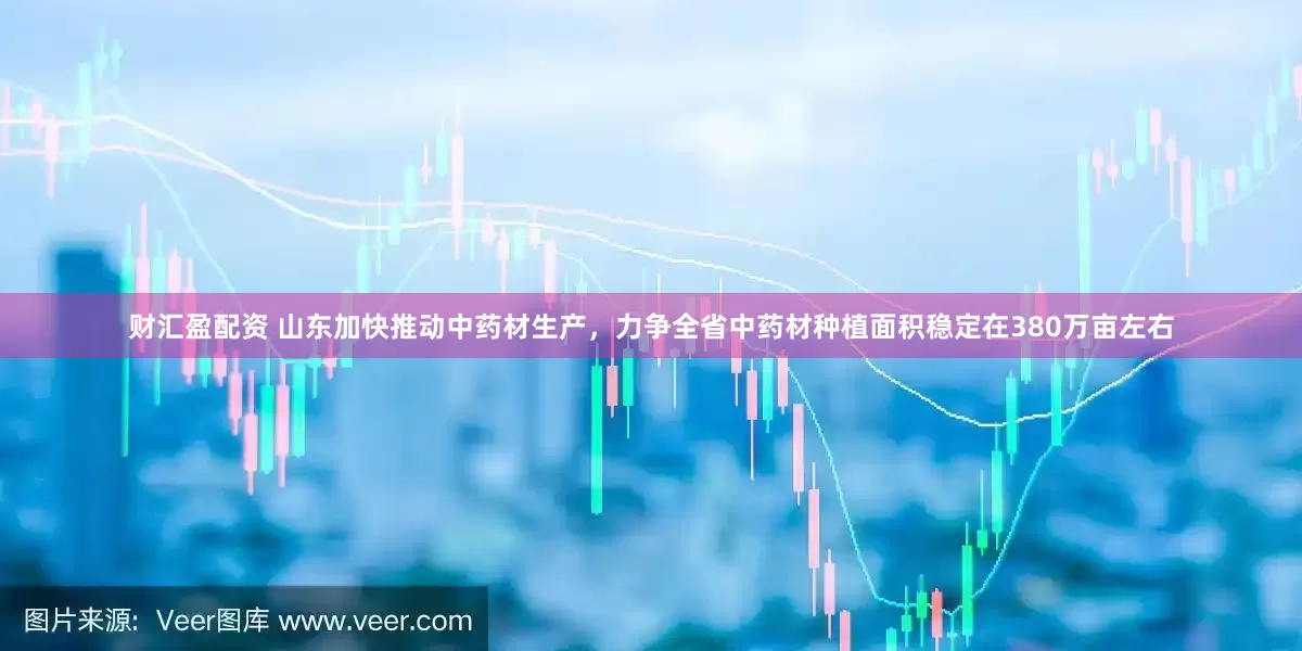 财汇盈配资 山东加快推动中药材生产，力争全省中药材种植面积稳定在380万亩左右