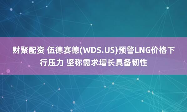 财聚配资 伍德赛德(WDS.US)预警LNG价格下行压力 坚称需求增长具备韧性